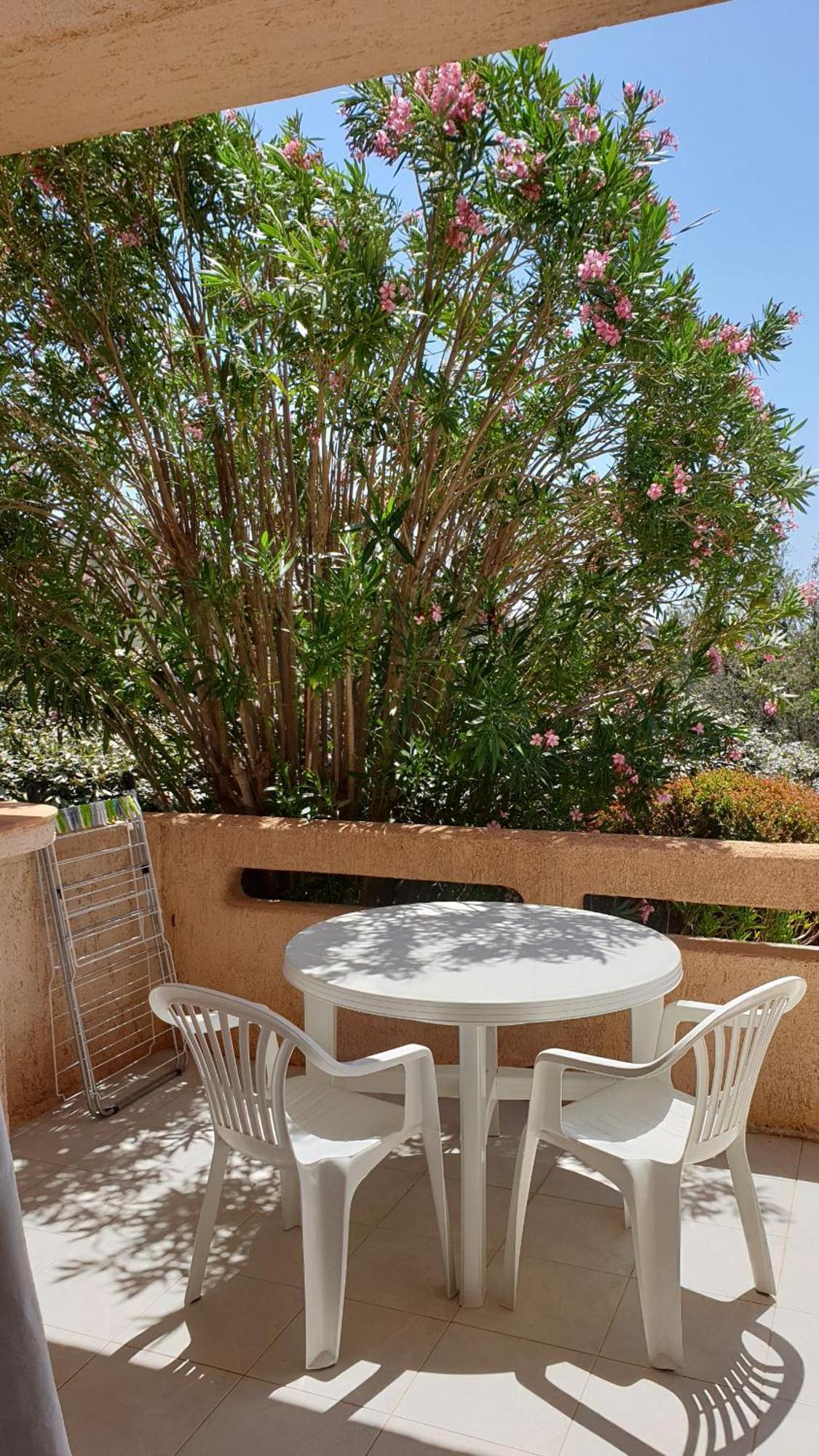 Residence Liccia Di Furu Porto-Vecchio  Phòng bức ảnh